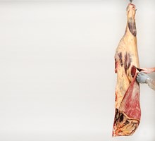 Cutaneus Muscle Meat Cut Spec Step 3